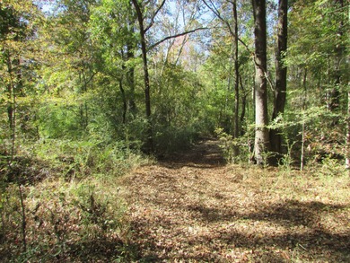 72.5 acres of open pastureland with dirt work started for a lake - photo 7