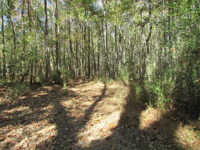 72.5 acres of open pastureland with dirt work started for a lake - photo 8