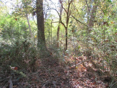 72.5 acres of open pastureland with dirt work started for a lake - photo 9