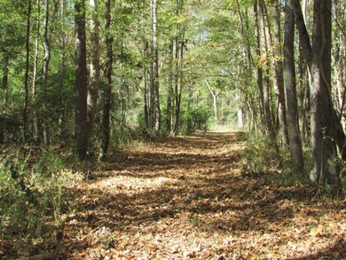 72.5 acres of open pastureland with dirt work started for a lake - photo 10