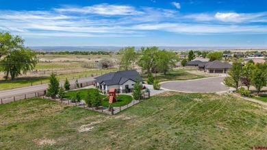 Located in the highly sought-after The Bridges community, this - photo 35