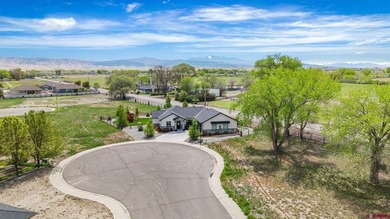 Located in the highly sought-after The Bridges community, this - photo 37