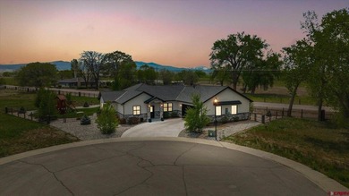Located in the highly sought-after The Bridges community, this - photo 40
