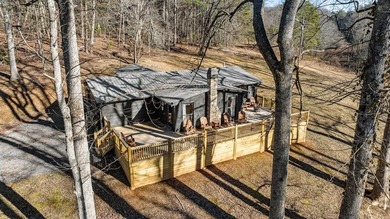 (private lake, pond, coastal) Home For Sale in Mineral Bluff Georgia