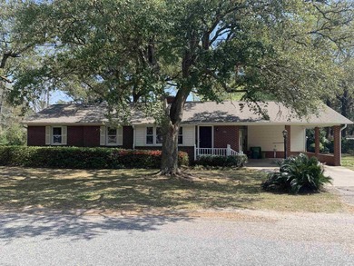 Charming home located on a spacious corner lot in Georgetown, SC - photo 2