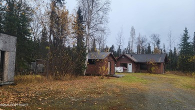 Lake Home For Sale in Willow, Alaska