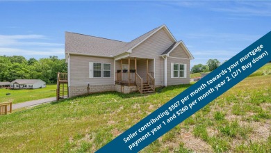 Lake Home For Sale in Spring City, Tennessee
