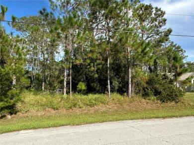 Build Your Dream Home in the Heart of Palm Coast! Welcome to 85 - photo 1