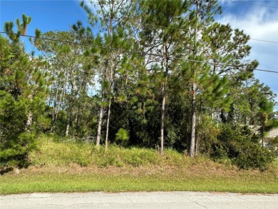 Build Your Dream Home in the Heart of Palm Coast! Welcome to 85 - photo 2