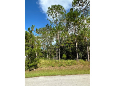 Build Your Dream Home in the Heart of Palm Coast! Welcome to 85 - photo 3