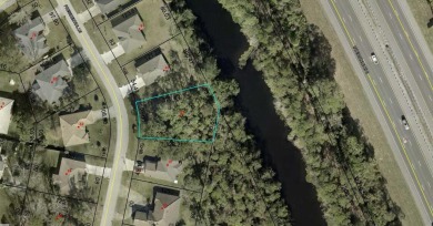 Build Your Dream Home in the Heart of Palm Coast! Welcome to 85 - photo 4