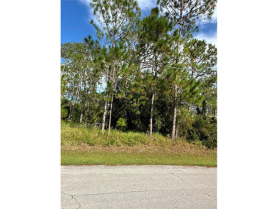 Build Your Dream Home in the Heart of Palm Coast! Welcome to 85 - photo 6