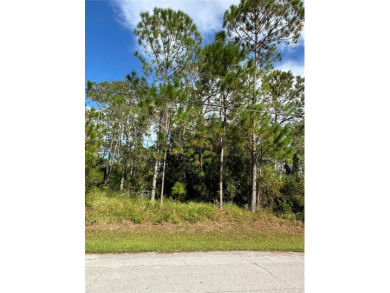 Build Your Dream Home in the Heart of Palm Coast! Welcome to 85 - photo 7