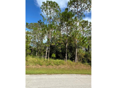 Build Your Dream Home in the Heart of Palm Coast! Welcome to 85 - photo 8