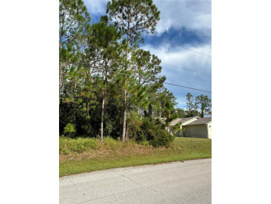 Build Your Dream Home in the Heart of Palm Coast! Welcome to 85 - photo 9