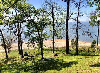 a Perfect Sanctuary to enjoy Sam Rayburn Lake Life! WATERFRONT - photo 9