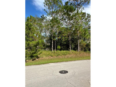 Build Your Dream Home in the Heart of Palm Coast! Welcome to 85 - photo 10