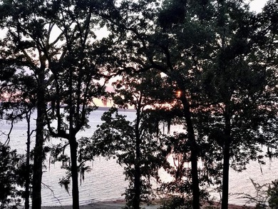a Perfect Sanctuary to enjoy Sam Rayburn Lake Life! WATERFRONT - photo 10
