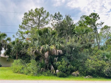 Build or Invest at 3 Seattle Trail, Palm Coast! Rare - photo 1