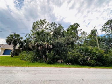 Build or Invest at 3 Seattle Trail, Palm Coast! Rare - photo 2