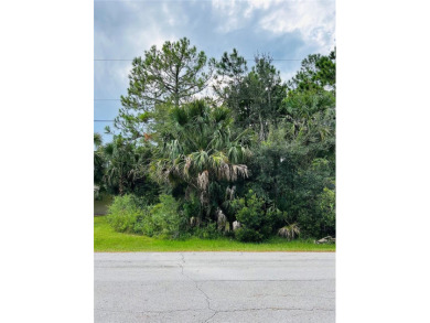 Build or Invest at 3 Seattle Trail, Palm Coast! Rare - photo 3