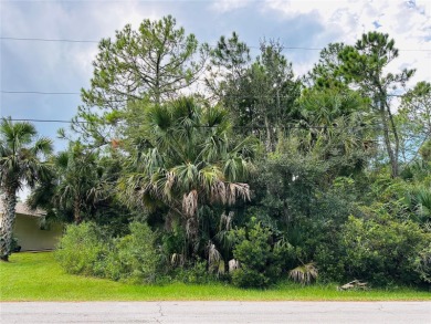 Build or Invest at 3 Seattle Trail, Palm Coast! Rare - photo 4