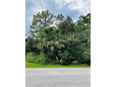 Build or Invest at 3 Seattle Trail, Palm Coast! Rare - photo 5