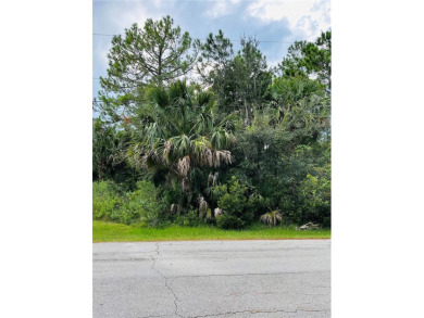 Build or Invest at 3 Seattle Trail, Palm Coast! Rare - photo 6
