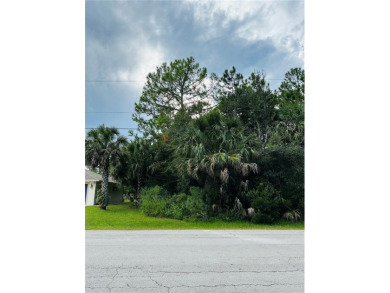 Build or Invest at 3 Seattle Trail, Palm Coast! Rare - photo 7