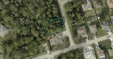 Build or Invest at 3 Seattle Trail, Palm Coast! Rare - photo 8