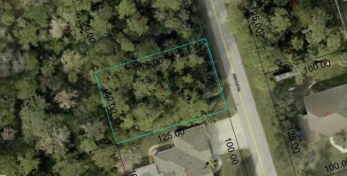 Build or Invest at 3 Seattle Trail, Palm Coast! Rare - photo 9
