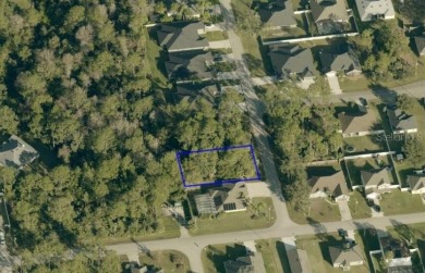 Build or Invest at 3 Seattle Trail, Palm Coast! Rare - photo 10