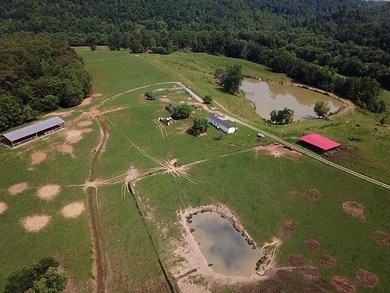 CATTLE RANCH. Start your own cattle or horse operation - photo 3