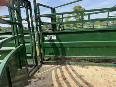 CATTLE RANCH. Start your own cattle or horse operation - photo 7