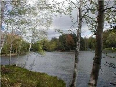 (private lake, pond, creek) Lot For Sale in Evart Michigan