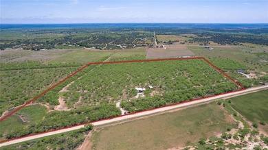 (private lake, pond, creek) Home For Sale in Brookesmith Texas