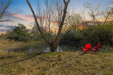 (private lake, pond, creek) Acreage For Sale in Other Texas