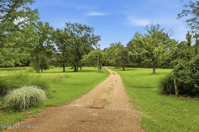 Historic c. 1900 Farmhouse on 10 Acres Step back in time while - photo 13