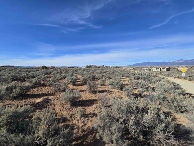 Welcome to Vista Linda Subdivision where wide open spaces abound - photo 6