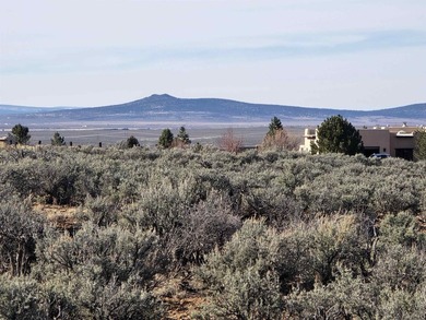 Welcome to Vista Linda Subdivision where wide open spaces abound - photo 9
