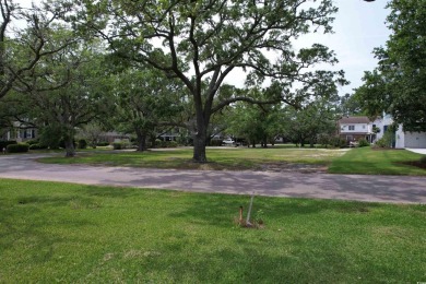Waccamaw River Lot Sale Pending in Georgetown South Carolina
