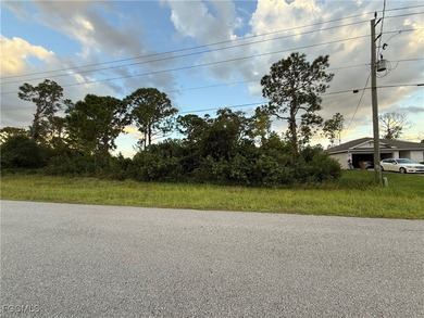 Lehigh Acres Area Lot For Sale in Lehigh Acres Florida