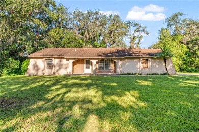 Lake Home Sale Pending in Wesley Chapel, Florida