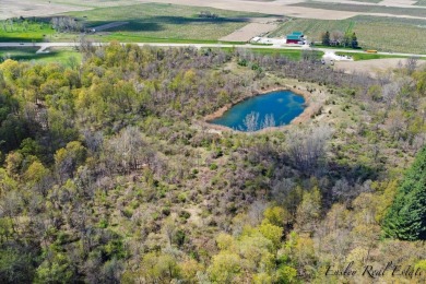 (private lake, pond, creek) Acreage For Sale in Berrien Springs Michigan