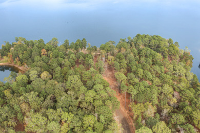 Lake Acreage For Sale in Milam, Texas