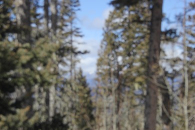 Monte Verde Lake Acreage For Sale in Angel Fire New Mexico