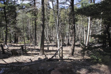 Monte Verde Lake Lot For Sale in Angel Fire New Mexico