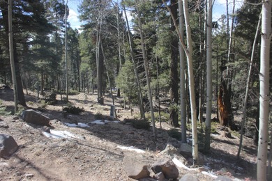 Great spot to add your very own spot in the mountains. .87 of an - photo 2
