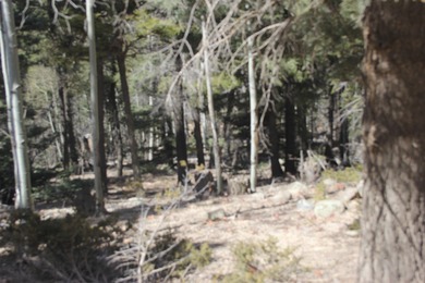 Great spot to add your very own spot in the mountains. .87 of an - photo 4