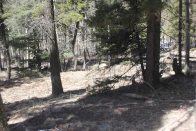 Great spot to add your very own spot in the mountains. .87 of an - photo 5